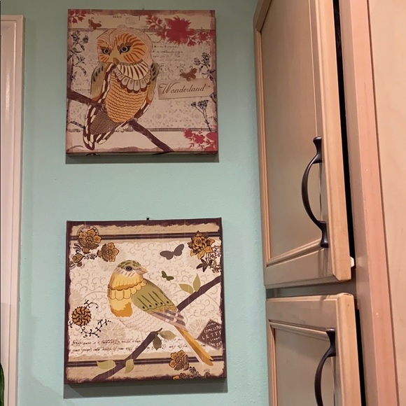 Other - Set of 2 Canvas Bird pictures